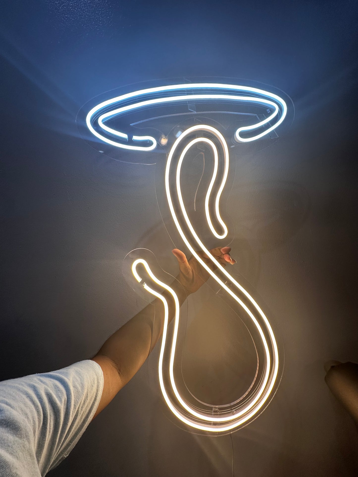 Letreros de neón depositan “cambio de precios sugerentes”